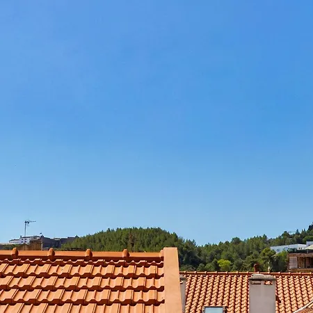 Omega Setubal